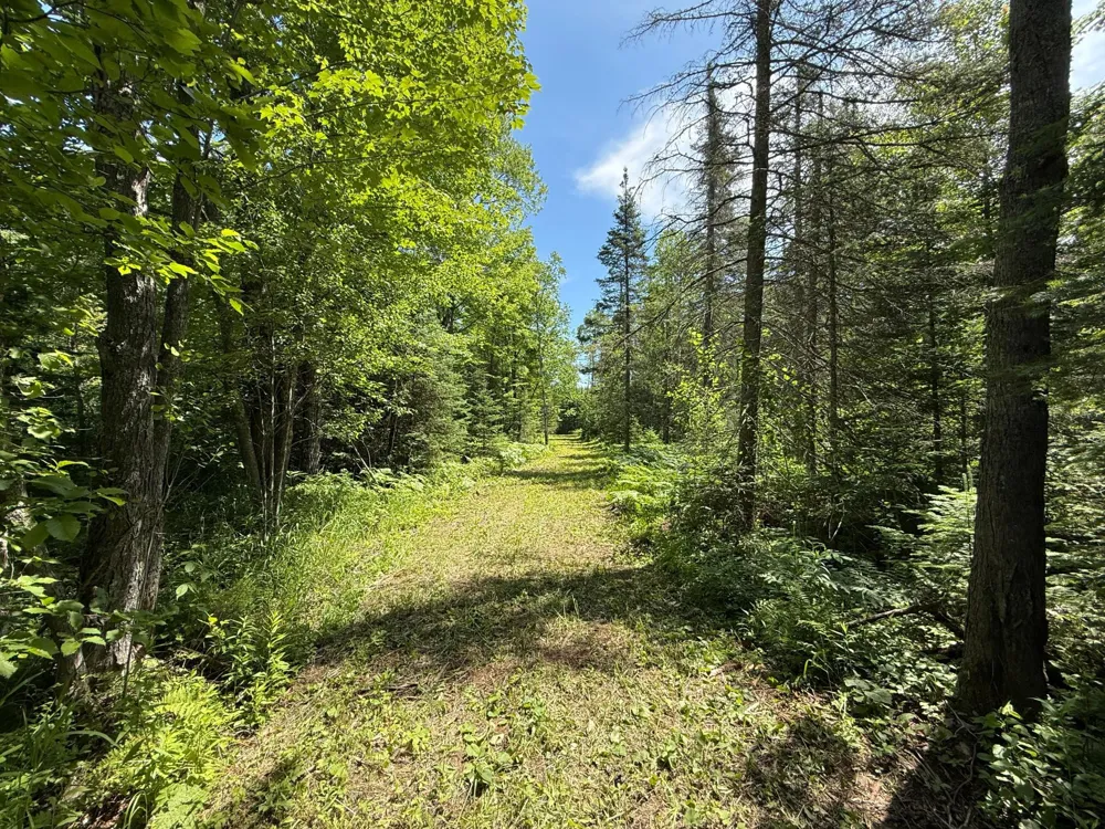 TBD Arnold Rd. Duluth, MN 55803