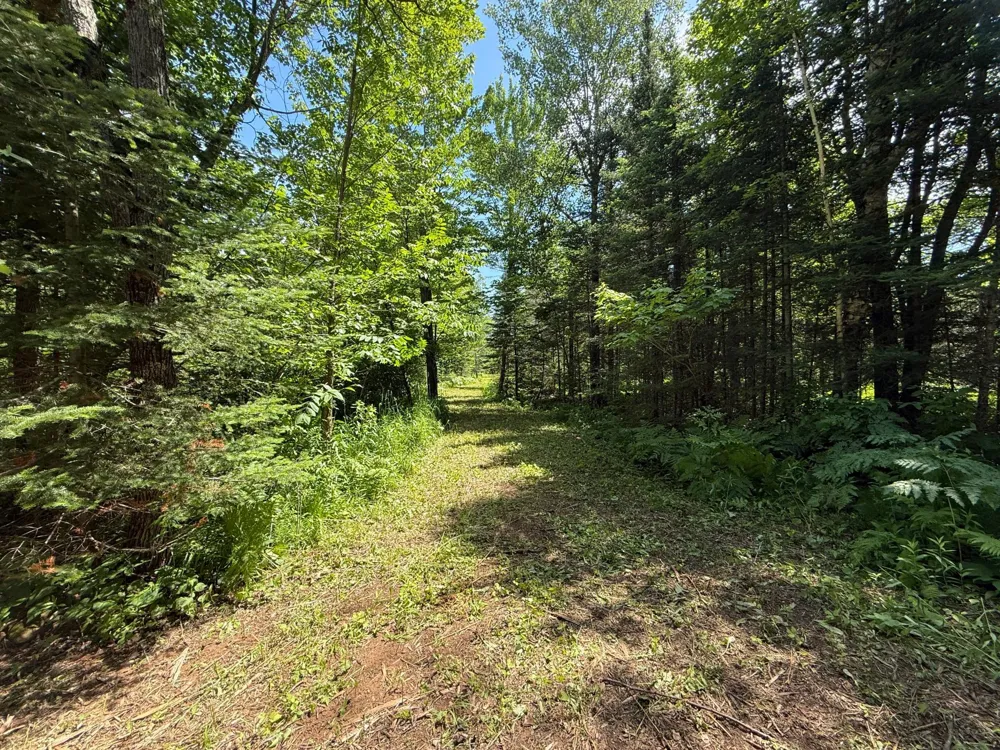 TBD Arnold Rd. Duluth, MN 55803