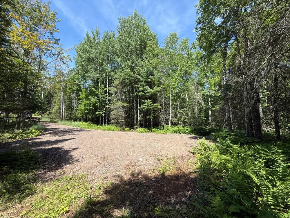 TBD Arnold Rd. Duluth, MN 55803