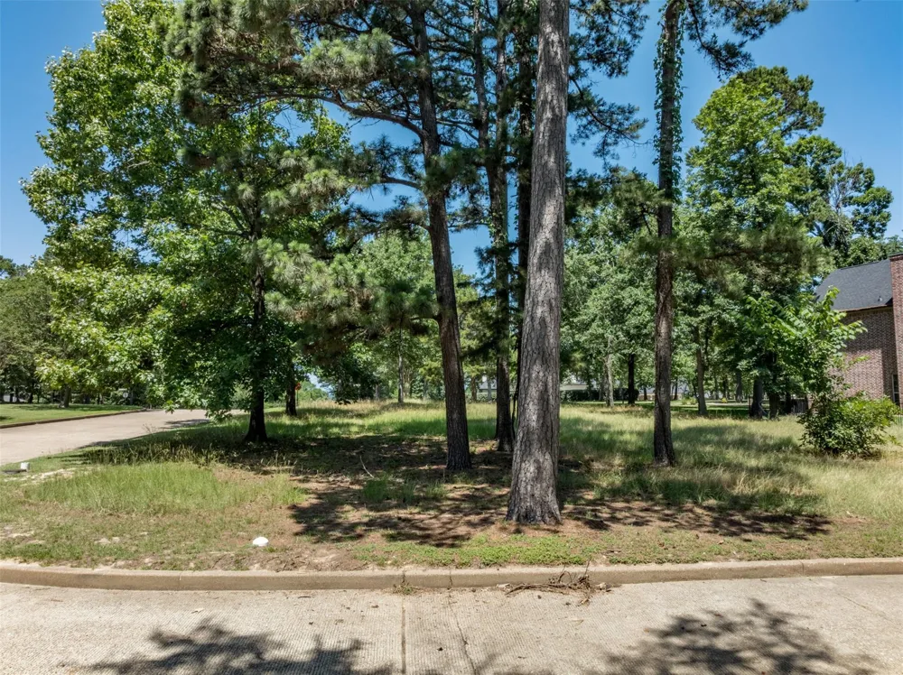 137 Eagles Bluff Blvd S Bullard, TX 75757