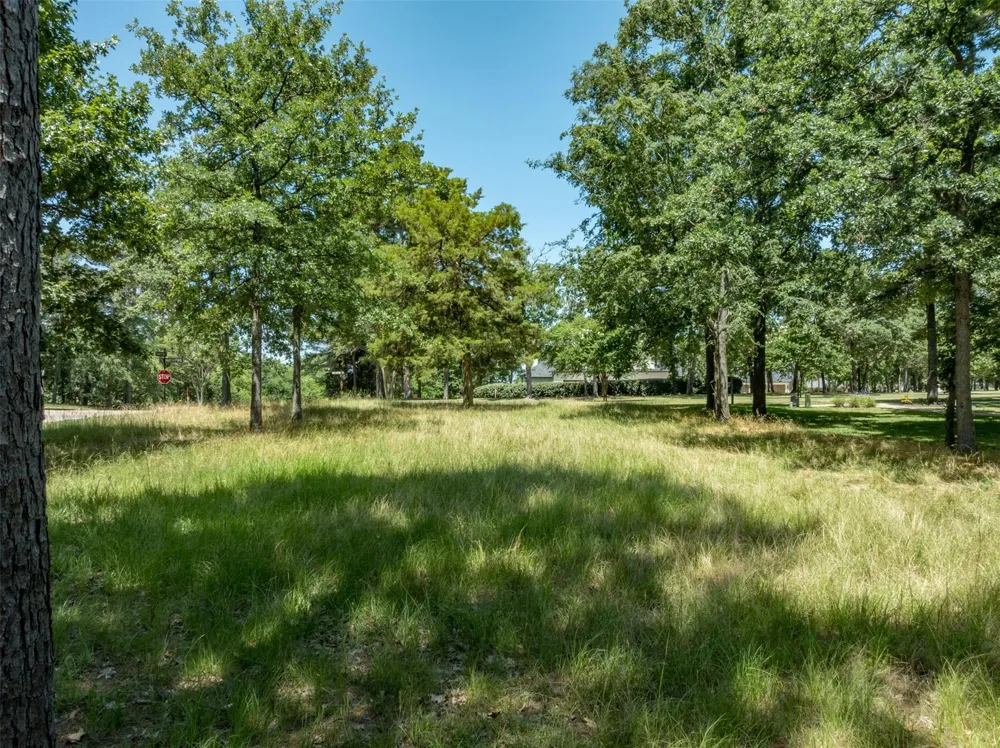 137 Eagles Bluff Blvd S Bullard, TX 75757