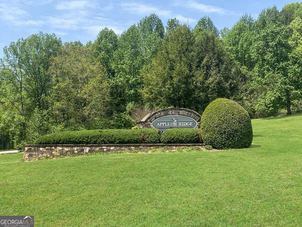 133 Lakeview WALK Baldwin, GA 30511