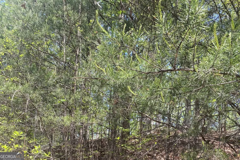 133 Lakeview WALK Baldwin, GA 30511