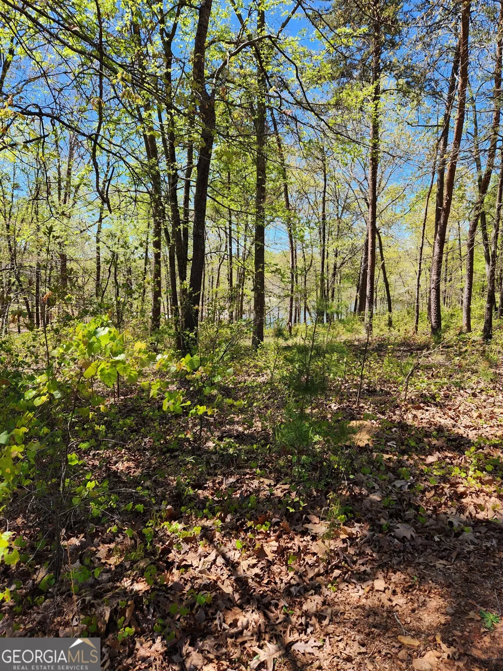 0 Crawfords Ferry PT Hartwell, GA 30643