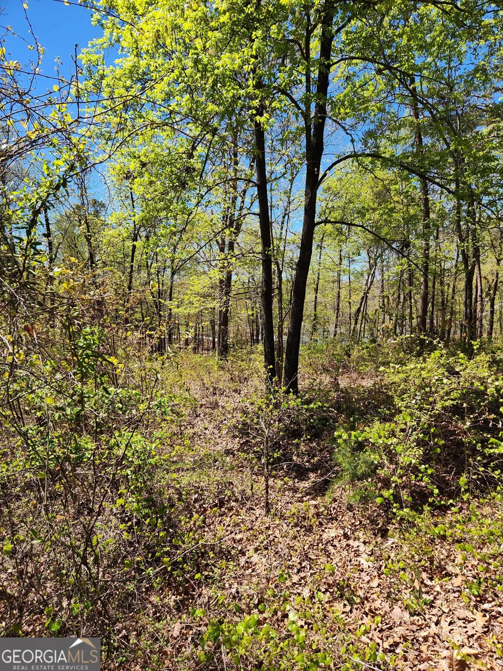 0 Crawfords Ferry PT Hartwell, GA 30643