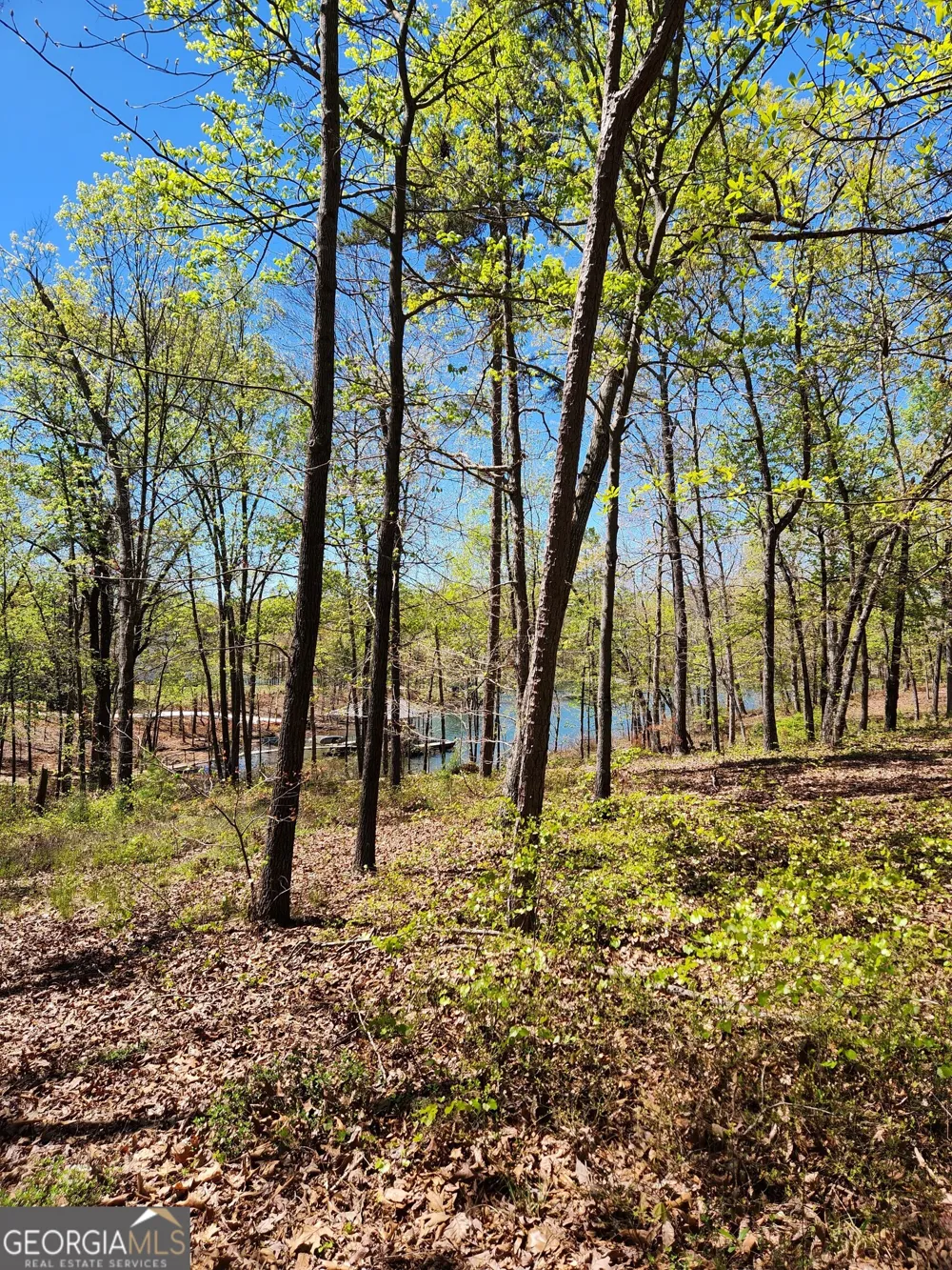 0 Crawfords Ferry PT Hartwell, GA 30643