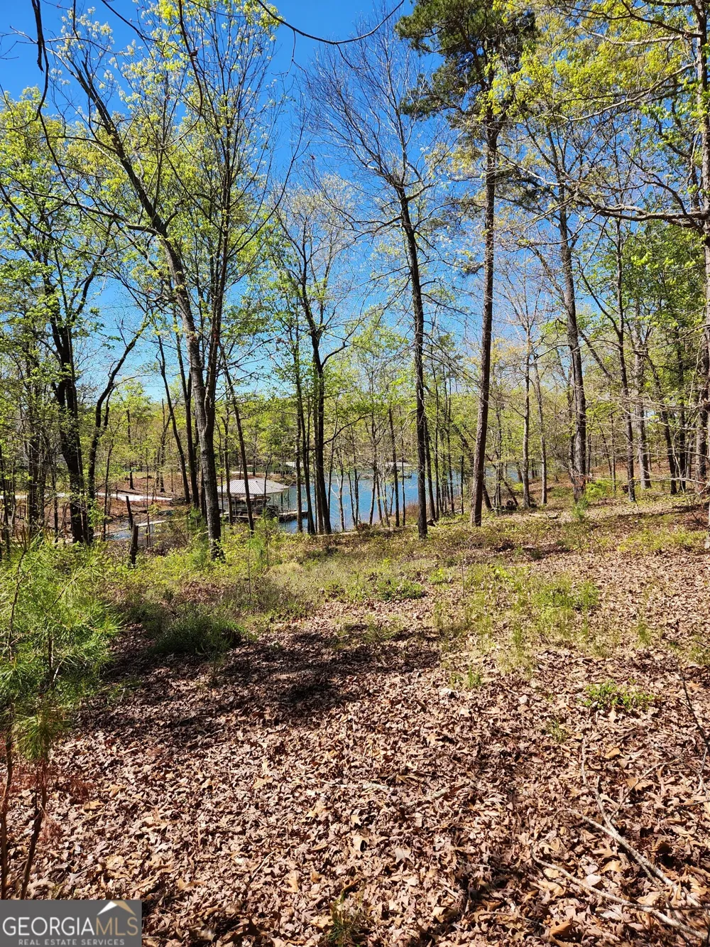 0 Crawfords Ferry PT Hartwell, GA 30643