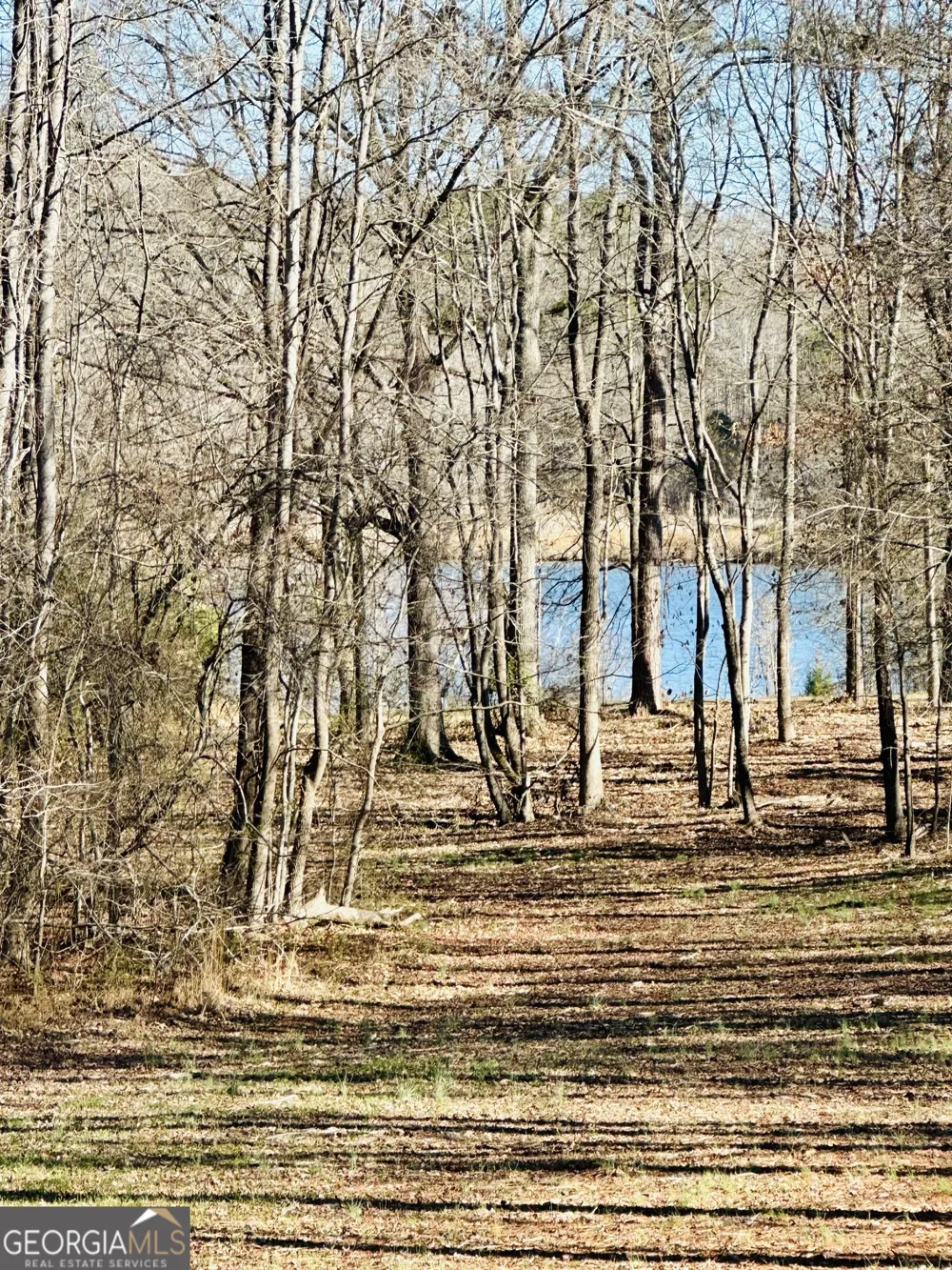 622 Lake Varner DR Covington, GA 30014