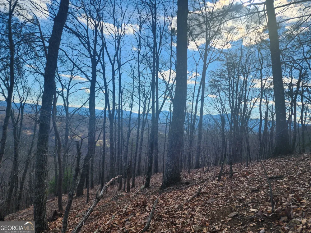 0 Trackrock Gap RD Blairsville, GA 30514