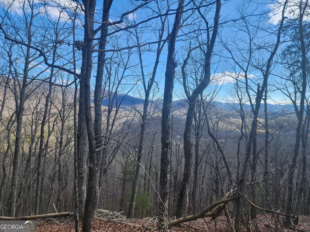 0 Trackrock Gap RD Blairsville, GA 30514