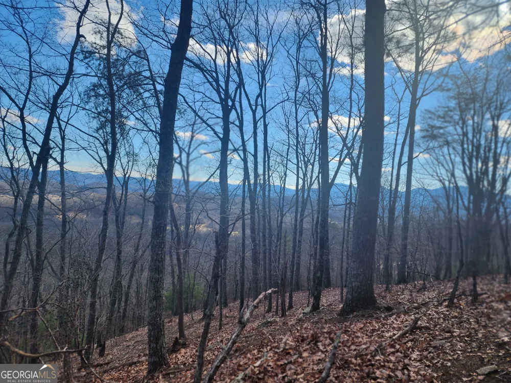 0 Trackrock Gap RD Blairsville, GA 30514
