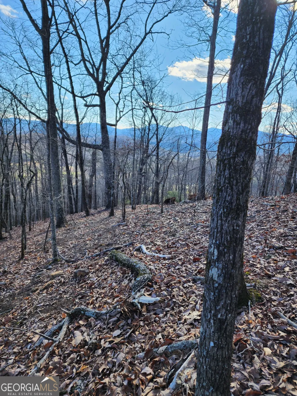 0 Trackrock Gap RD Blairsville, GA 30514