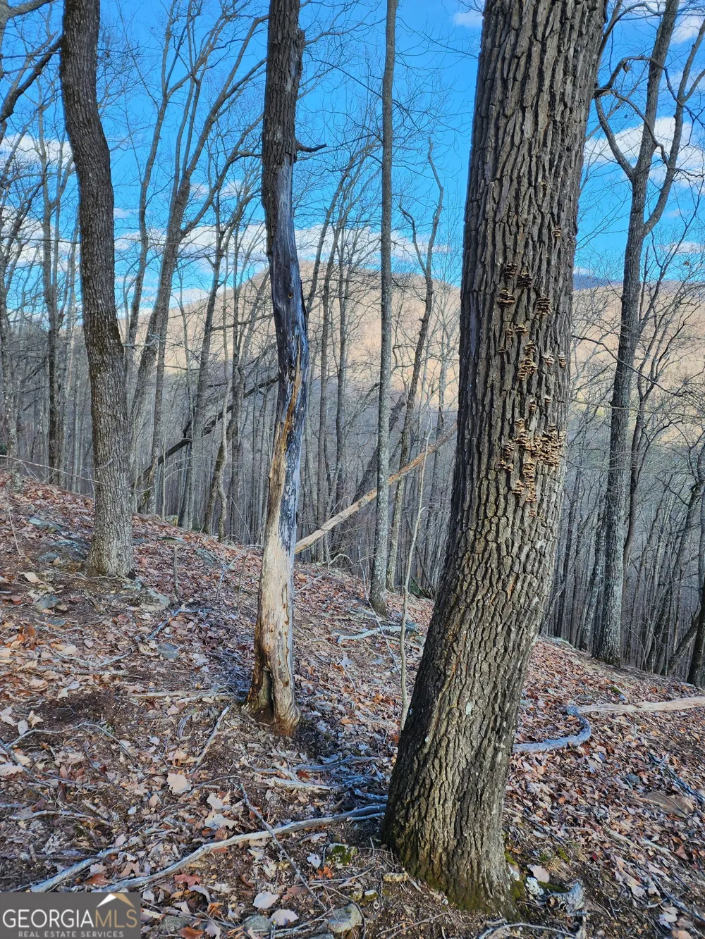 0 Trackrock Gap RD Blairsville, GA 30514