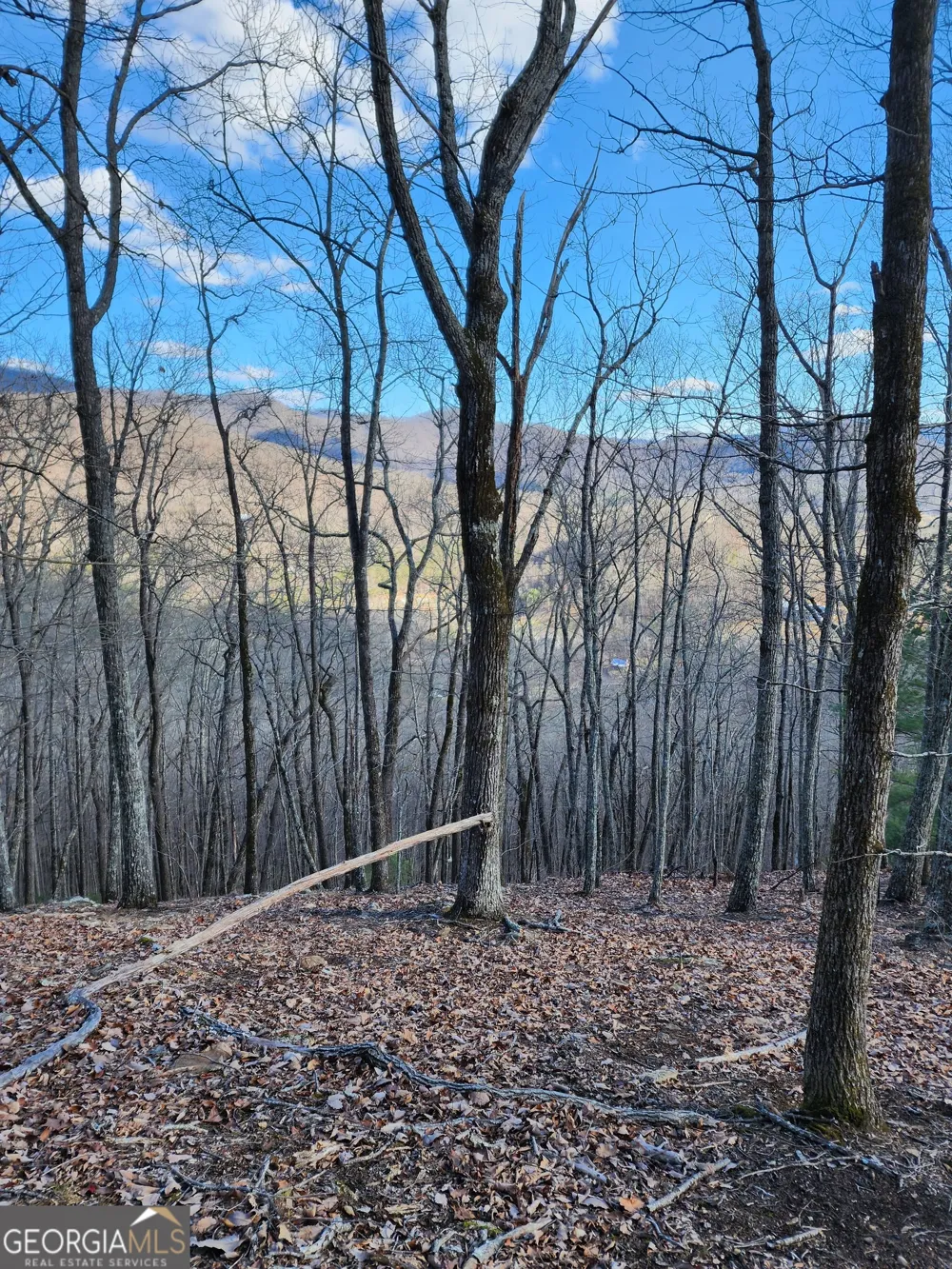 0 Trackrock Gap RD Blairsville, GA 30514