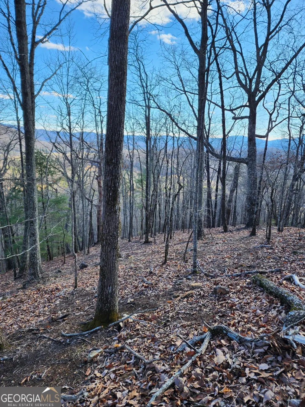 0 Trackrock Gap RD Blairsville, GA 30514