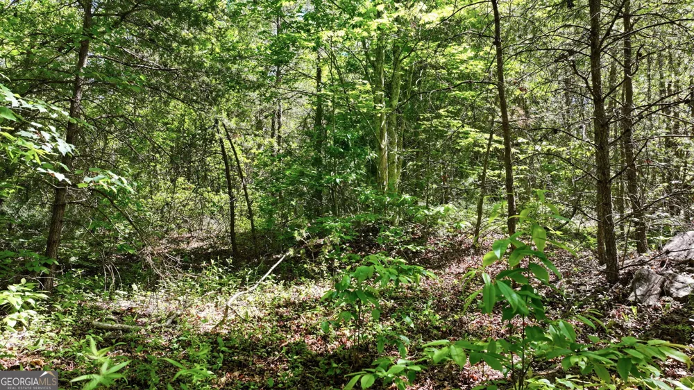 201 Spookhaven LN Clarkesville, GA 30523