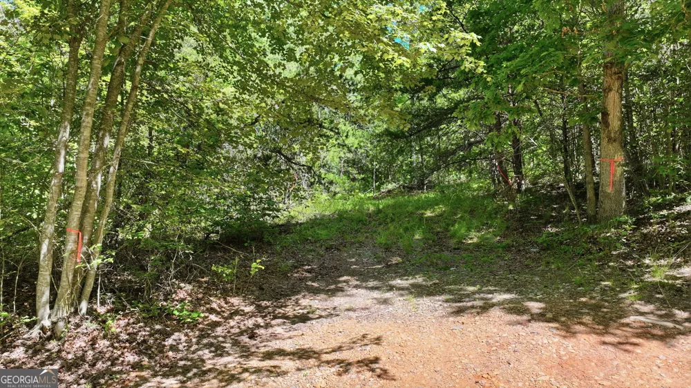 201 Spookhaven LN Clarkesville, GA 30523