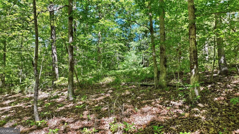 201 Spookhaven LN Clarkesville, GA 30523