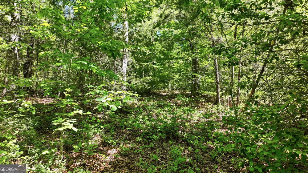 201 Spookhaven LN Clarkesville, GA 30523