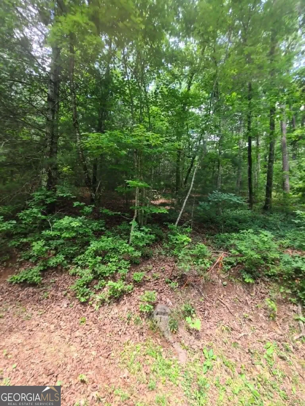 201 Spookhaven LN Clarkesville, GA 30523