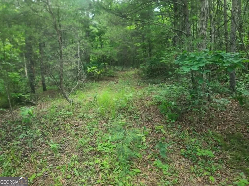 201 Spookhaven LN Clarkesville, GA 30523