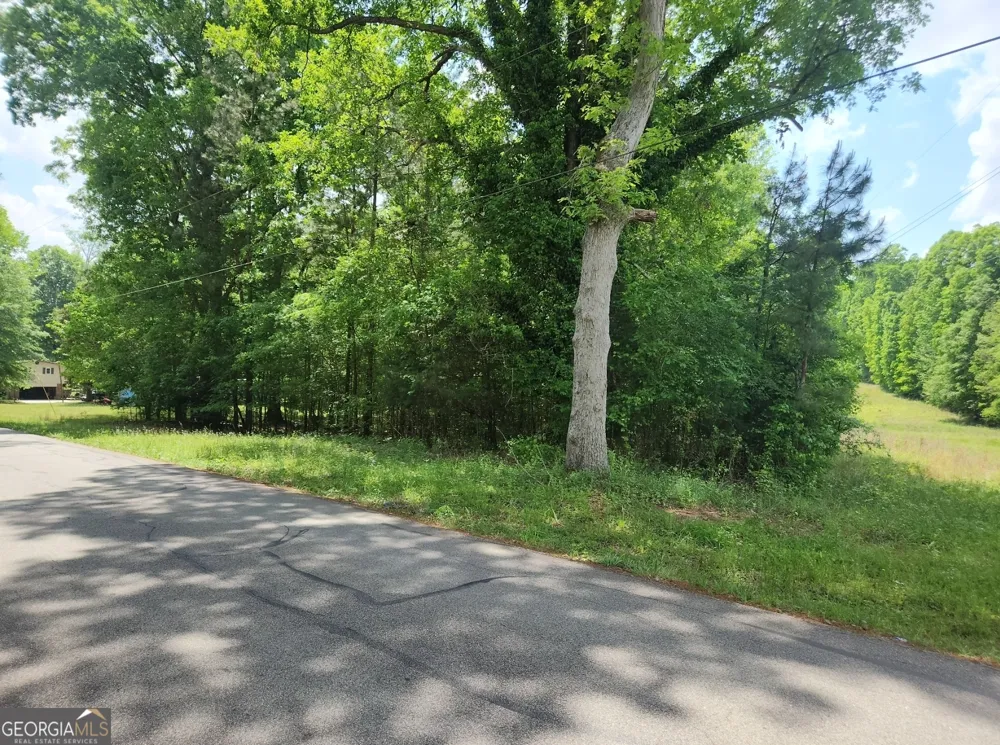 1241 Old Siloam RD Union Point, GA 30669