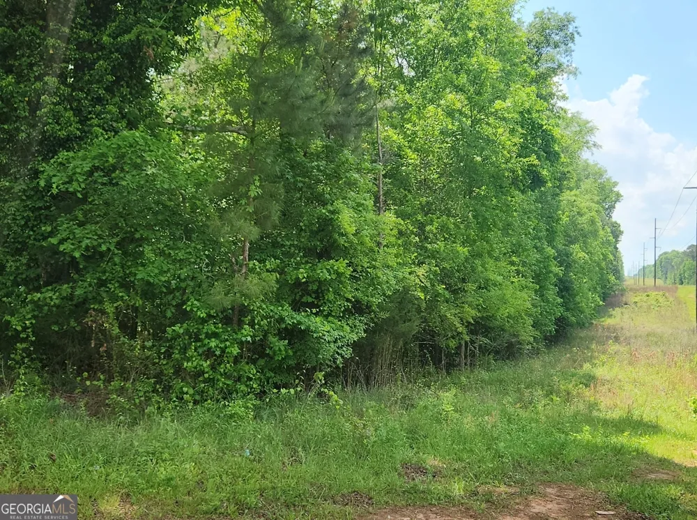 1241 Old Siloam RD Union Point, GA 30669