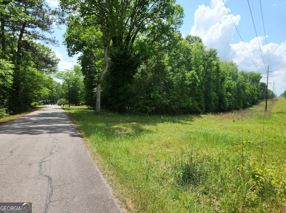 1241 Old Siloam RD Union Point, GA 30669