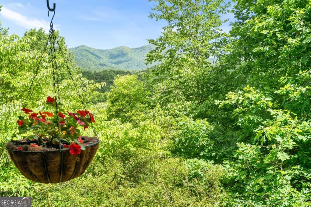 7866 Upper Hightower RD Hiawassee, GA 30546