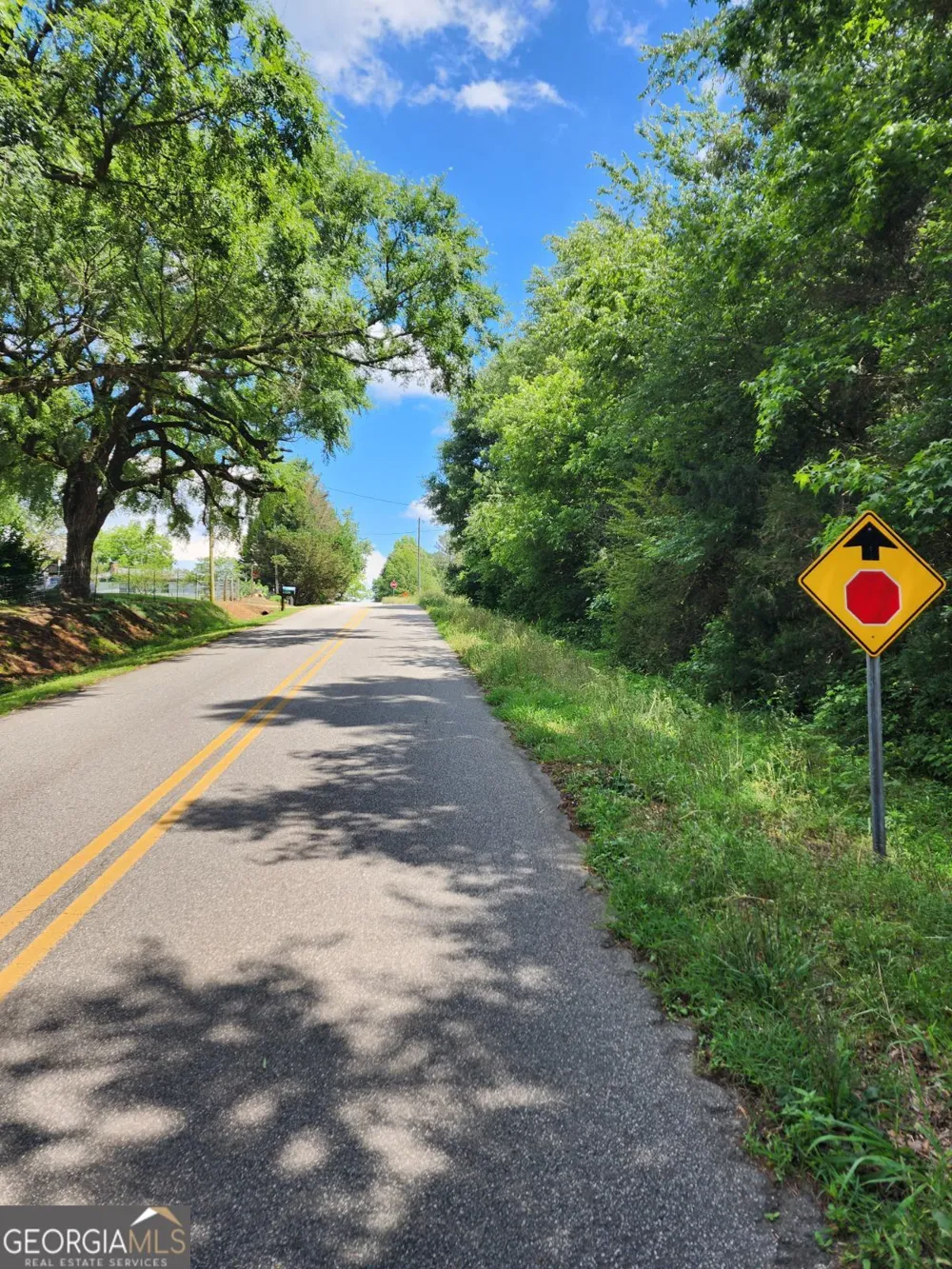 0 Highway 191 Danielsville, GA 30633