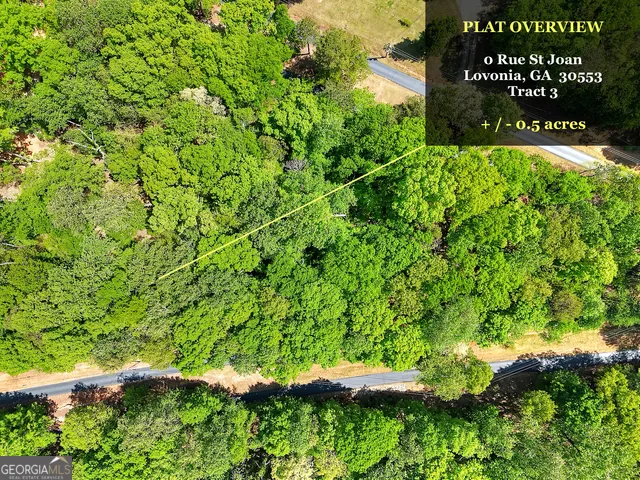 0 Rue St Joan Lavonia, GA 30553