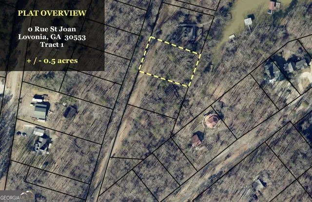 0 Rue St Joan Lavonia, GA 30553