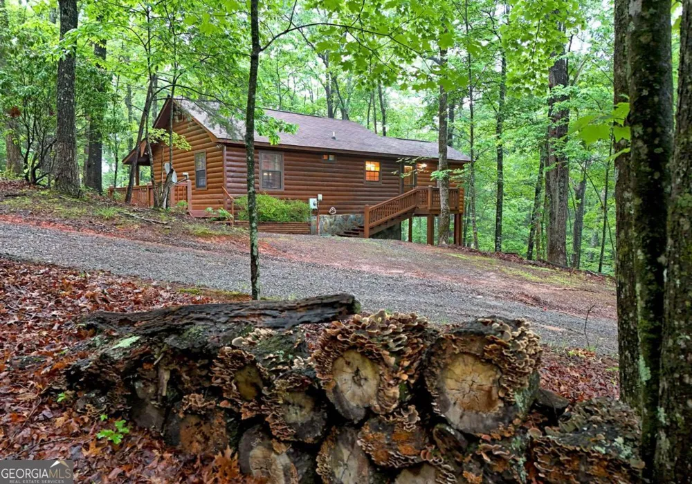 31 Eagle Feather DR Cherry Log, GA 30522