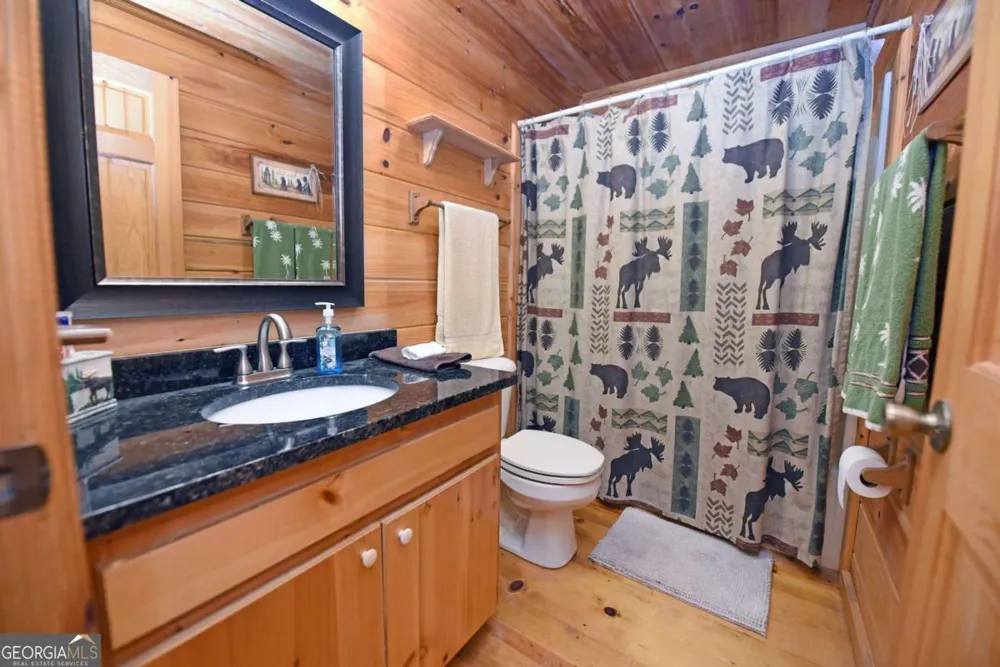 31 Eagle Feather DR Cherry Log, GA 30522