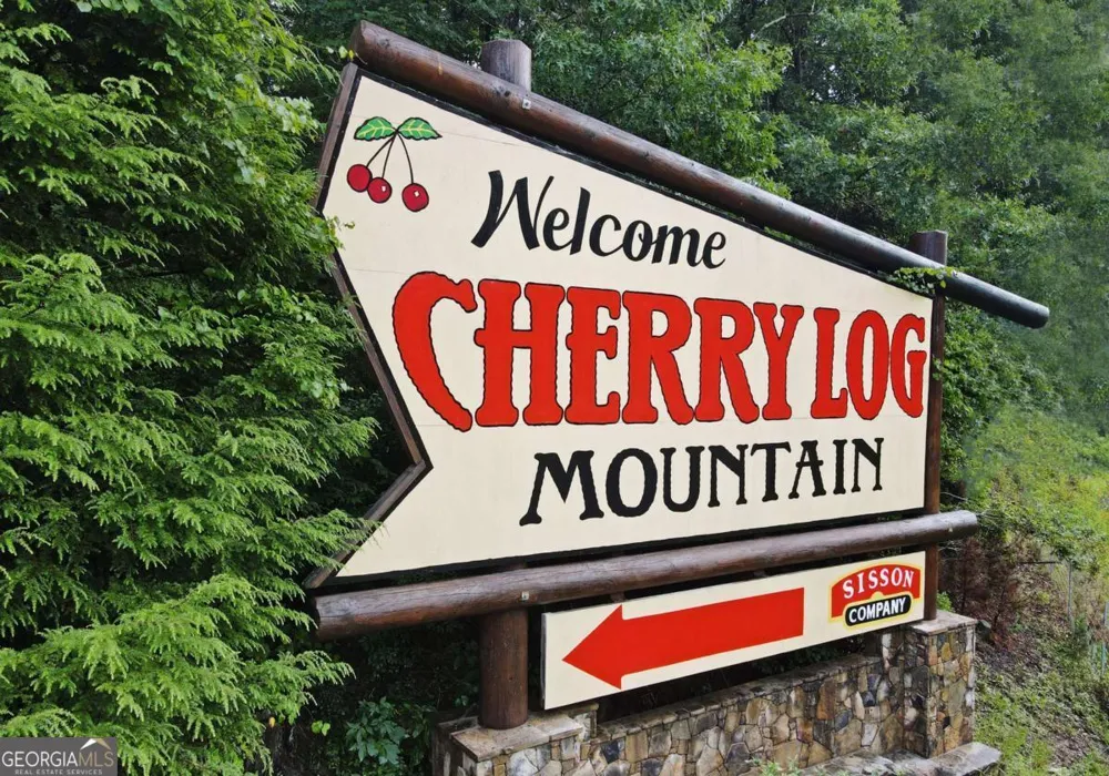 31 Eagle Feather DR Cherry Log, GA 30522