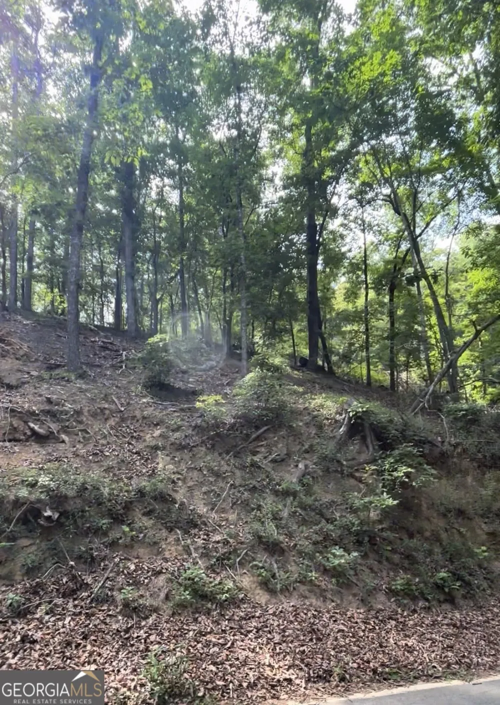 2111 Valley View DR Big Canoe, GA 30143