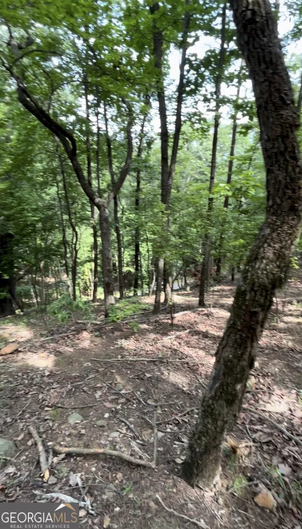 2111 Valley View DR Big Canoe, GA 30143
