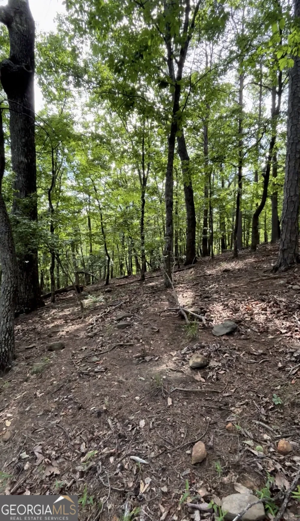 2111 Valley View DR Big Canoe, GA 30143