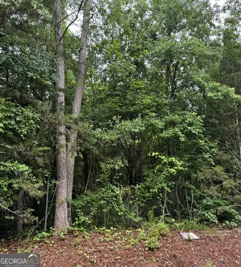 0 Lewis Lot 17 DR