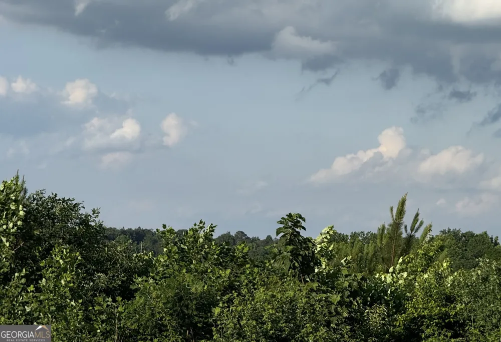 0 Co Rd 49 Muscadine, AL 36269
