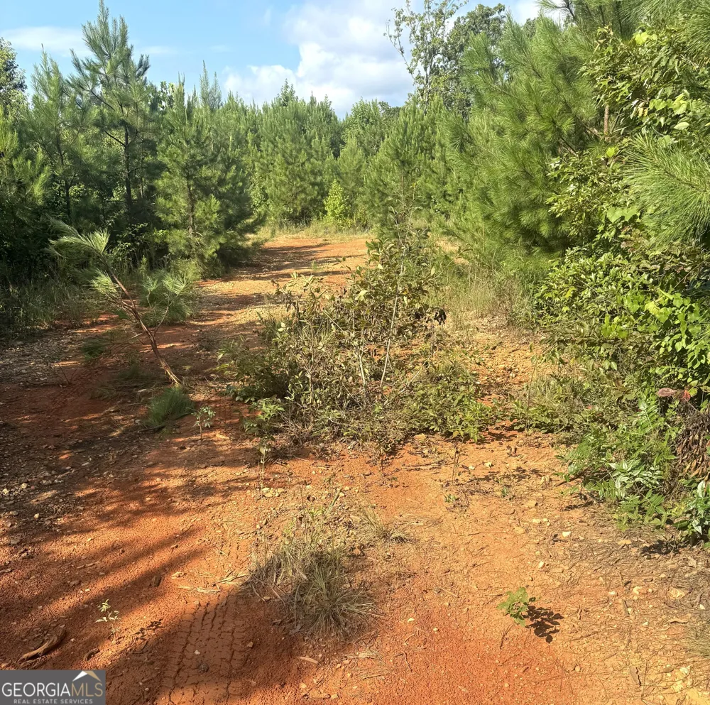 0 Co Rd 49 Muscadine, AL 36269