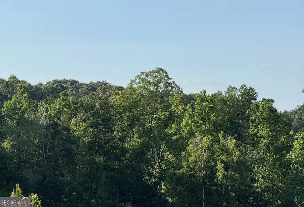 0 Co Rd 49 Muscadine, AL 36269