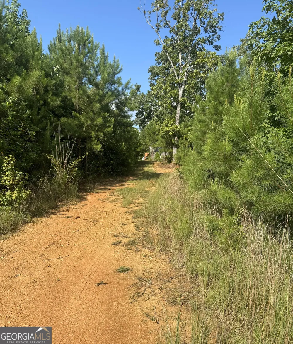 0 Co Rd 49 Muscadine, AL 36269