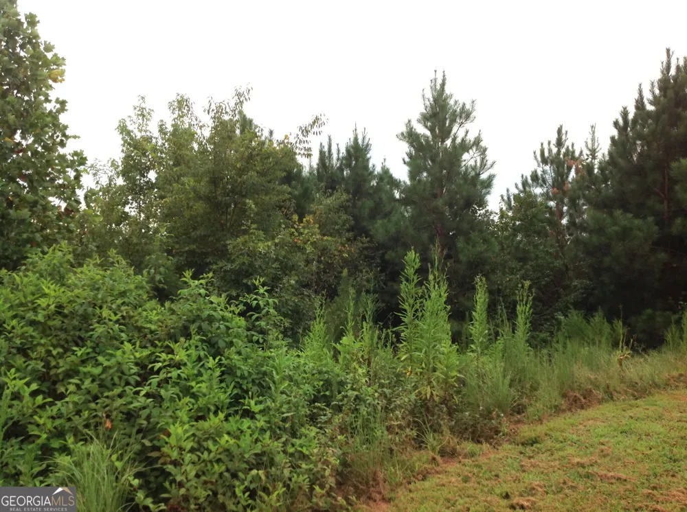0 Co Rd 49 Muscadine, AL 36269