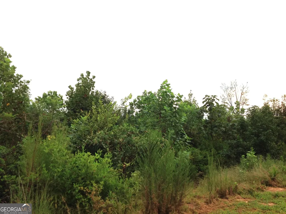 0 Co Rd 49 Muscadine, AL 36269