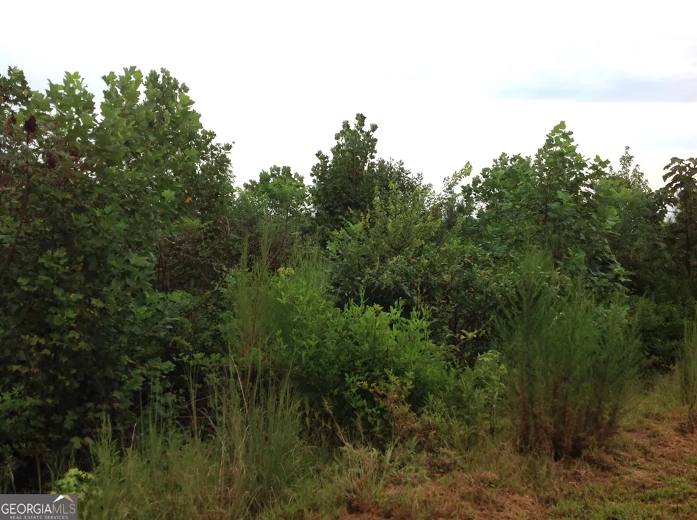 0 Co Rd 49 Muscadine, AL 36269