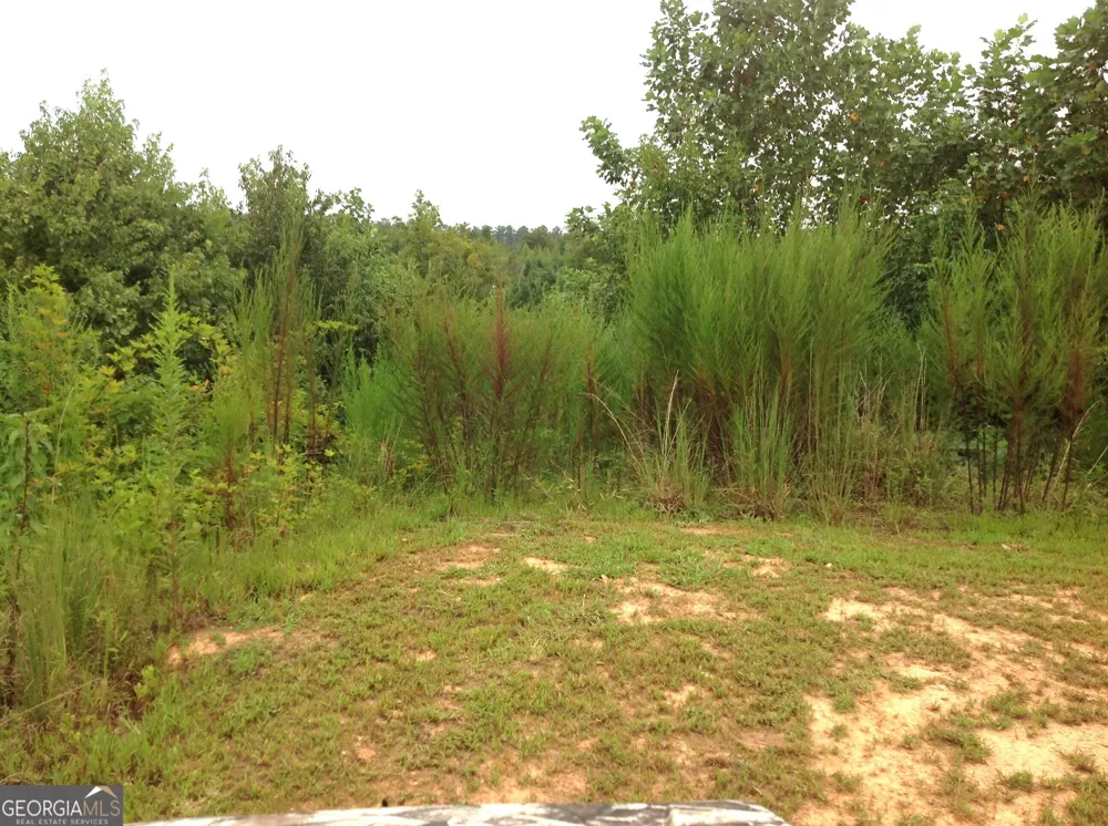 0 Co Rd 49 Muscadine, AL 36269