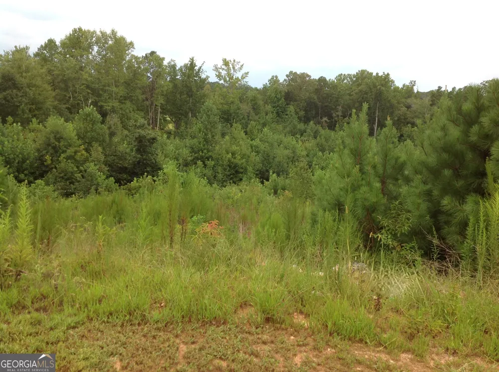 0 Co Rd 49 Muscadine, AL 36269