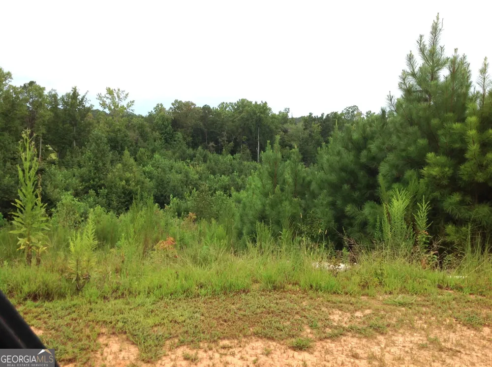 0 Co Rd 49 Muscadine, AL 36269