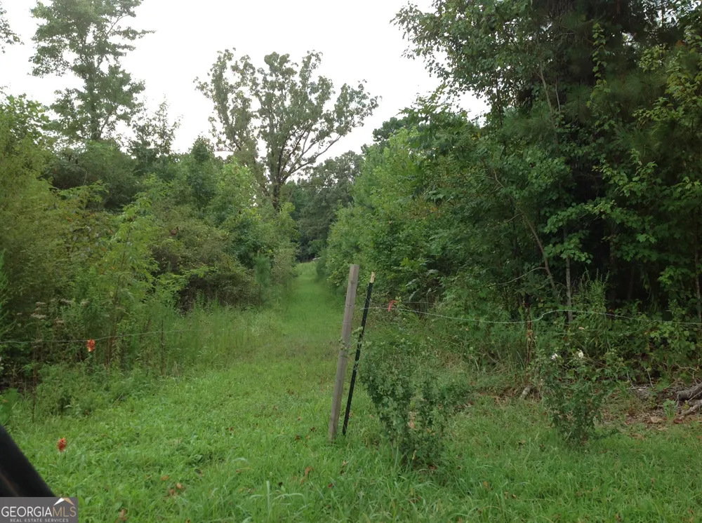 0 Co Rd 49 Muscadine, AL 36269
